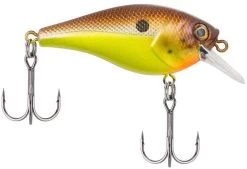 Berkley SquareBull 2 3/8 Inch Shallow Squarebill Crankbait 26 Berkley SquareBull 2 3/8 Inch Shallow Squarebill Crankbait -Hot Sale Angling Store squarebull brown mustard 81da5849 8ea2 4f4e b46f 0980ead1b2b1
