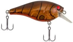 Berkley SquareBull 2 3/8 Inch Shallow Squarebill Crankbait 27 Berkley SquareBull 2 3/8 Inch Shallow Squarebill Crankbait -Hot Sale Angling Store squarebull ghost brown craw 750bf837 a121 402e b9ce 85fac40f3e71