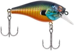 Berkley SquareBull 2 3/8 Inch Shallow Squarebill Crankbait 29 Berkley SquareBull 2 3/8 Inch Shallow Squarebill Crankbait -Hot Sale Angling Store squarebull gilly 9823b24f 821b 42a2 bbbb 0c93e43286eb