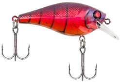 Berkley SquareBull 2 3/8 Inch Shallow Squarebill Crankbait 31 Berkley SquareBull 2 3/8 Inch Shallow Squarebill Crankbait -Hot Sale Angling Store squarebull special red craw a3eeef37 c990 4d30 a2a4 9203d3981ecd
