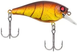 Berkley SquareBull 2 3/8 Inch Shallow Squarebill Crankbait 32 Berkley SquareBull 2 3/8 Inch Shallow Squarebill Crankbait -Hot Sale Angling Store squarebull spring craw 7920c685 ad66 4e2d 9a4b dfc15a821819