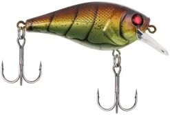 Berkley SquareBull 2 3/8 Inch Shallow Squarebill Crankbait 33 Berkley SquareBull 2 3/8 Inch Shallow Squarebill Crankbait -Hot Sale Angling Store squarebull vintage craw 80989045 ac81 41fe b62e aacb608a8003