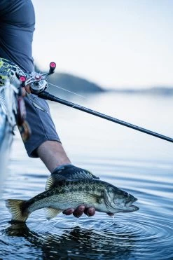 Temple Fork Outfitters Tactical Elite Bass Spinning Rods 26 Temple Fork Outfitters Tactical Elite Bass Spinning Rods -Hot Sale Angling Store tfo tactical elite bass bottom banner lifestyle 1 1 3aefa395 da73 4318 948c 1a40ec1d5732