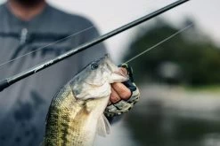 Temple Fork Outfitters Tactical Elite Bass Spinning Rods 18 Temple Fork Outfitters Tactical Elite Bass Spinning Rods -Hot Sale Angling Store tfo tactical elite bass bottom banner lifestyle 5 1 8cce2bf0 8629 4e5b 8764 3e02c6dac99d