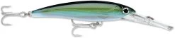 Rapala X-Rap Magnum 10 Big Game Slash Bait -Hot Sale Angling Store xrmag yft